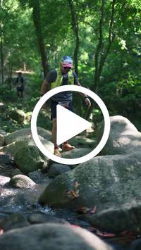 BIB:  <button type="button" onclick="openModal(28052346)" class="btn btn-primary btn-sm float-right" data-toggle="modal" data-target=".modal-high-quality">
                <i class="fa fa-download"></i> Download
                </button>